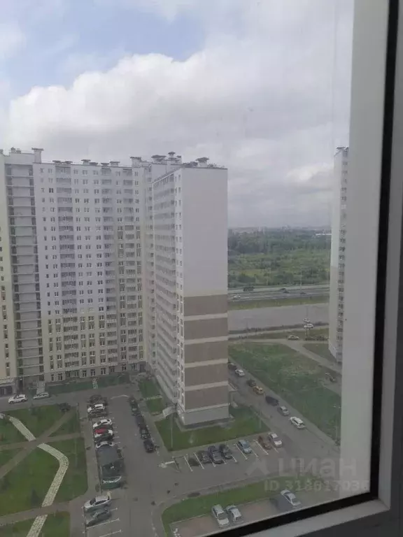 Студия Санкт-Петербург дор. Муринская, 8к4 (25.0 м) - Фото 1