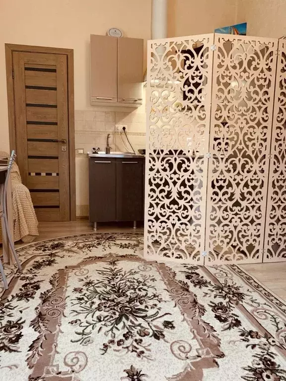 Студия Краснодарский край, Сочи городской округ, Дагомыс пгт ул. ... - Фото 1