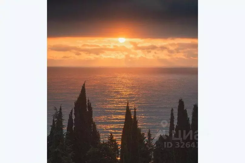 1-к кв. Крым, Алушта аллея Декабристов, 5 (70.0 м) - Фото 2