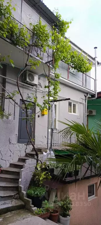 Студия Крым, Ялта ул. Кирова, 61 (33.0 м) - Фото 2