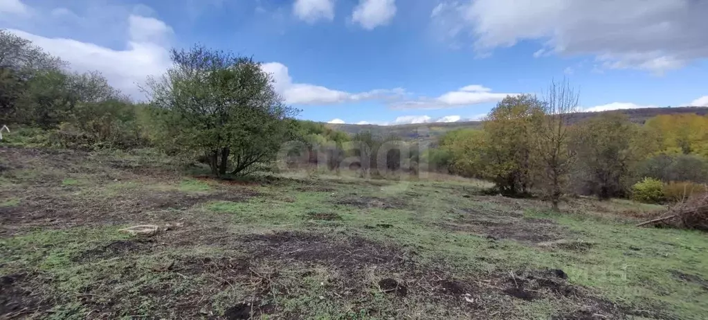 Участок в Адыгея, Майкопский район, Даховская ст-ца  (20.0 сот.) - Фото 1