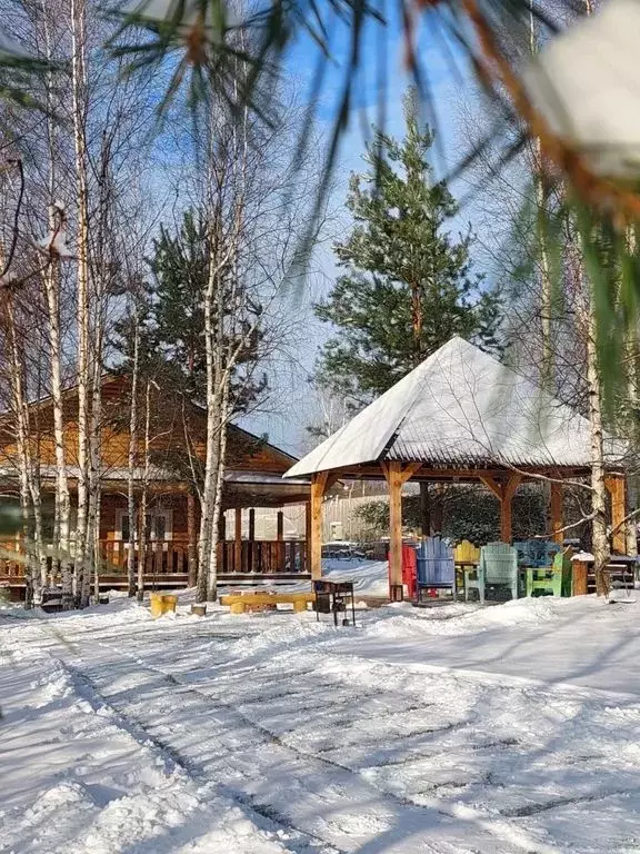 Дом в Нижегородская область, Сокольский городской округ, д. Вязовики ... - Фото 0