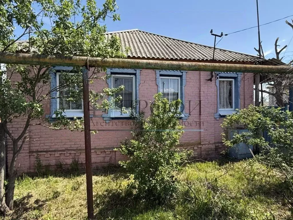 Дом в Белгородская область, Новооскольский муниципальный округ, с. ... - Фото 0