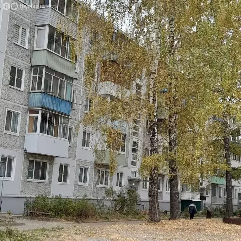 1-комнатная квартира: посёлок городского типа Грицовский, Первомайская ... - Фото 1