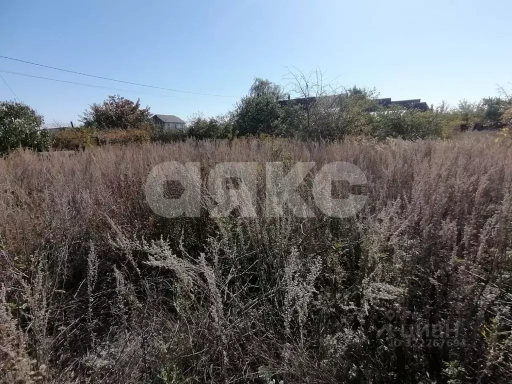 Участок в Волгоградская область, Городищенский район, Царицынское ... - Фото 2