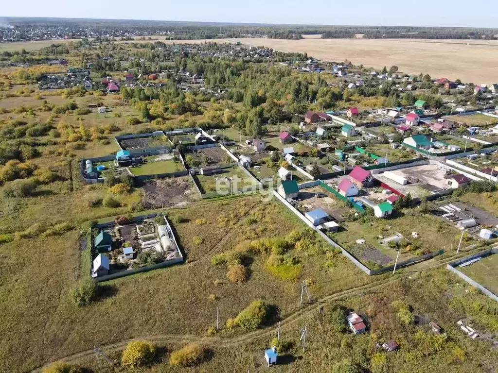 Участок в Тюменская область, Тюменский район, Лоза СНТ ул. 2-я (8.18 ... - Фото 0