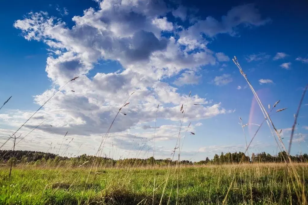 Участок в Ленинградская область, Кингисеппский район, Нежновское ... - Фото 2