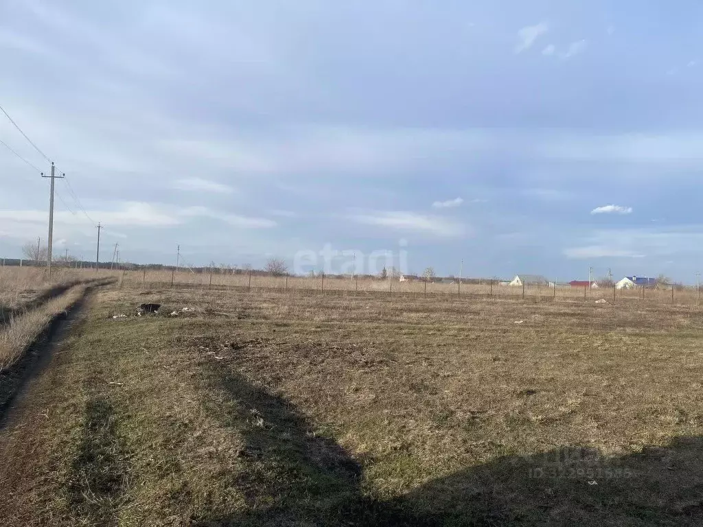 Участок в Липецкая область, Добровский муниципальный округ, с. Панино ... - Фото 2