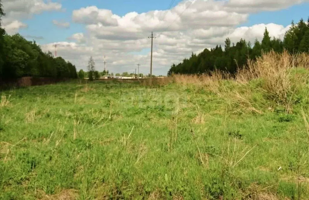 Участок в Ленинградская область, Ломоносовский район, Лопухинское ... - Фото 0