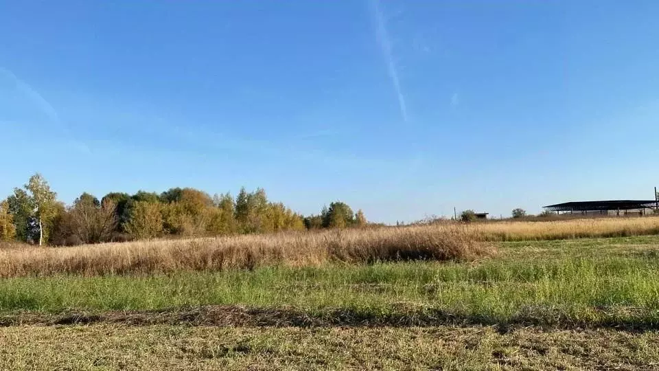 Участок в Московская область, Кашира городской округ, д. Никулино  ... - Фото 0