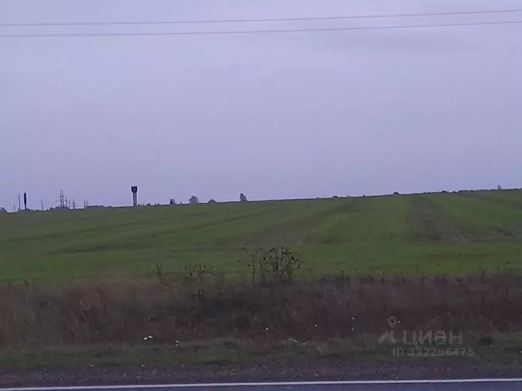 Участок в Нижегородская область, Балахна ЧППЖТ № 2 СНТ, 11 (1000.0 ... - Фото 1