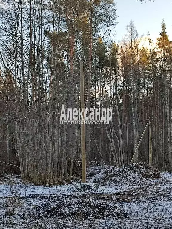 Участок в Ларионовское сельское поселение (10 м) - Фото 2