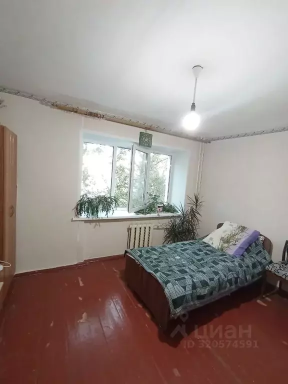 Студия Пермский край, Пермь ул. Пушкина, 108 (19.4 м) - Фото 0