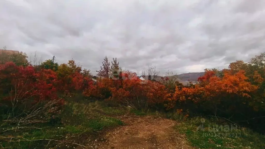 Участок в Краснодарский край, Новороссийск городской округ, с. ... - Фото 0