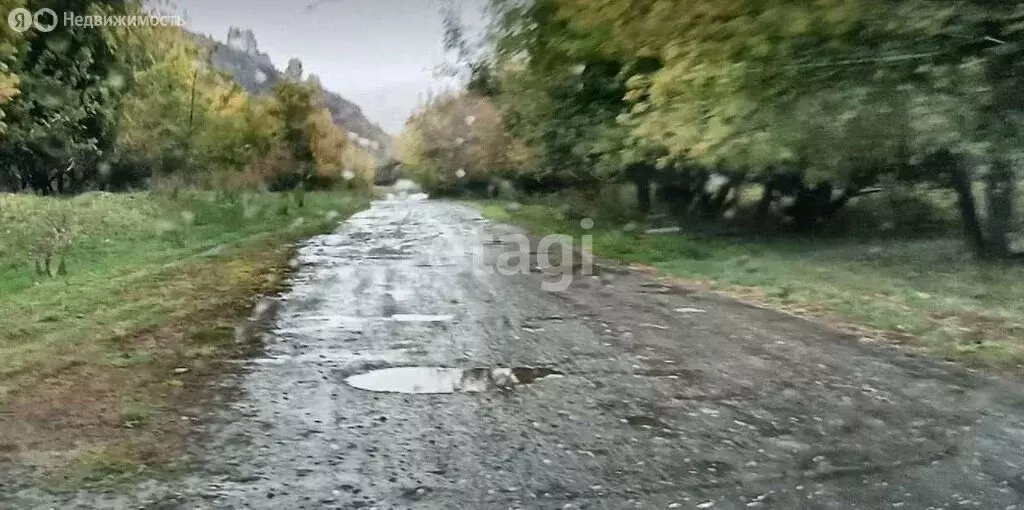 Участок в Алтайский район, село Ая (20 м) - Фото 1