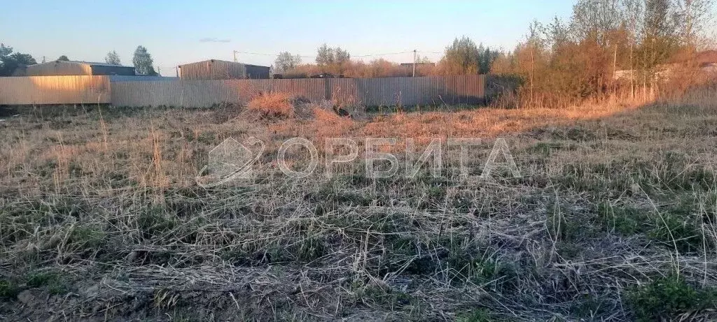 Участок в Тюменская область, Тюмень Россиянка садовое товарищество,  ... - Фото 2