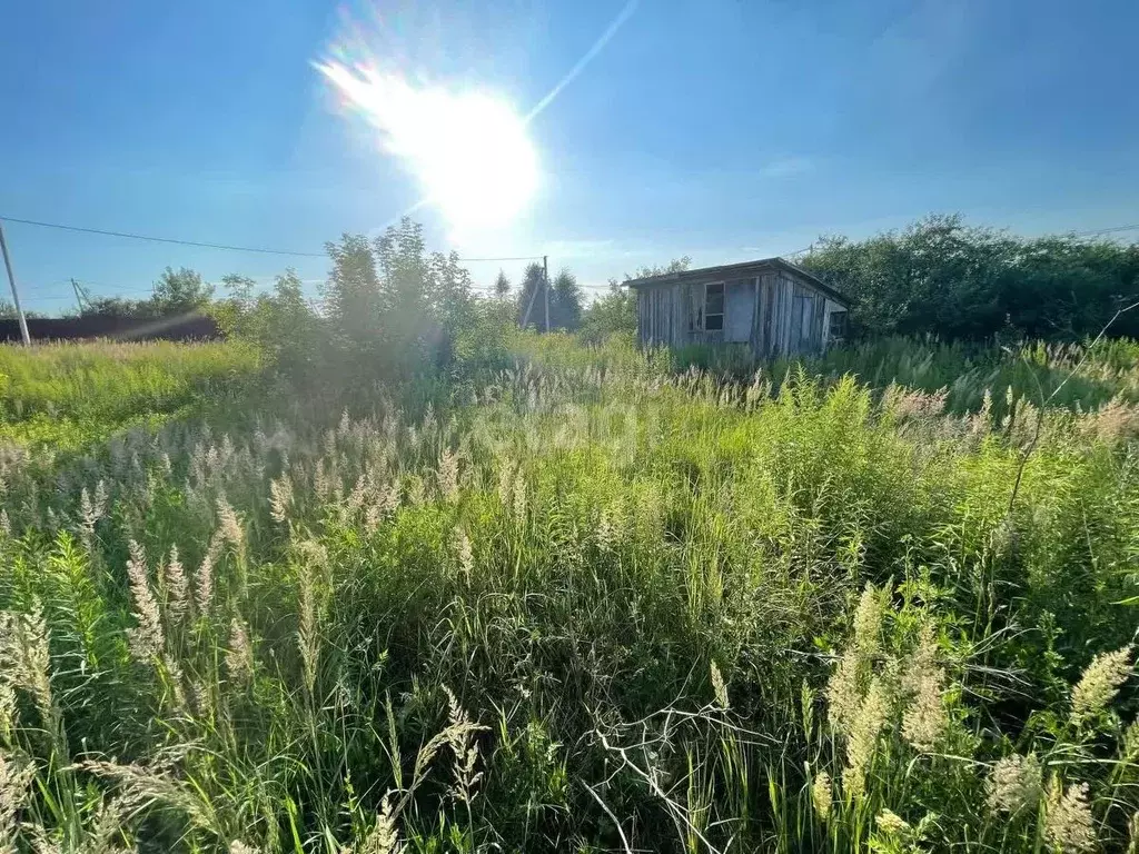 участок в нижегородская область, кстовский муниципальный округ, с. . - Фото 0