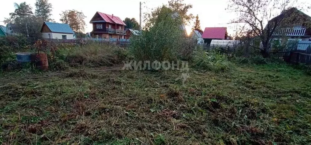 Участок в Новосибирская область, Новосибирский район, Кубовинский ... - Фото 0