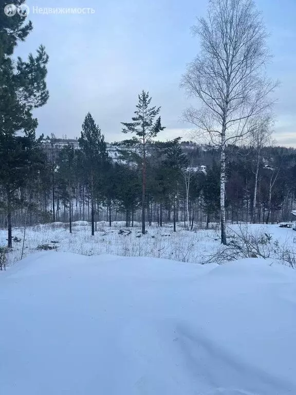 Участок в Иркутский муниципальный округ, деревня Новолисиха, посёлок ... - Фото 2