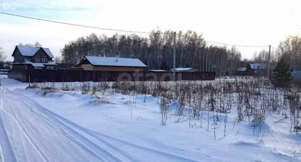 Участок в Надеждино, ДНП Берёзовый Стан, Большая Георгиевская улица ... - Фото 1