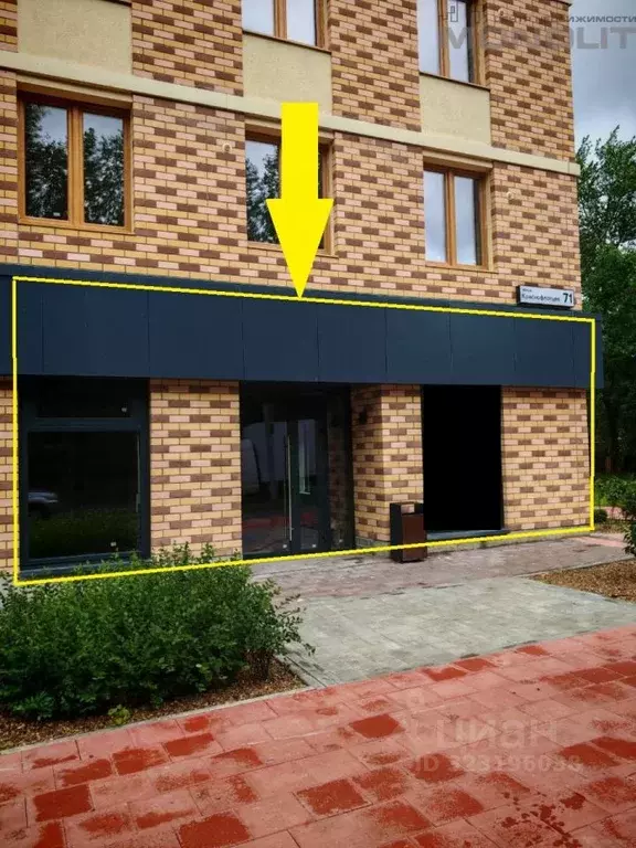 Торговая площадь в Свердловская область, Екатеринбург ул. ... - Фото 2