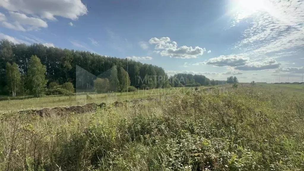 Участок в Тюменская область, Тюменский район, с. Кулига ул. Бирюзовая ... - Фото 0