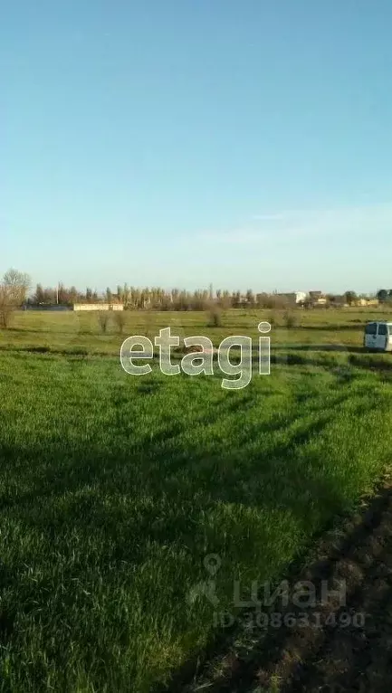 Участок в Крым, Сакский район, с. Фрунзе  (200.0 сот.) - Фото 2