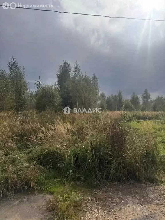 Участок в Нижегородская область, Богородский муниципальный округ, ... - Фото 2