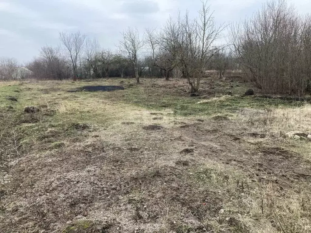 Участок в Белгородская область, Белгородский район, Беломестненское ... - Фото 1