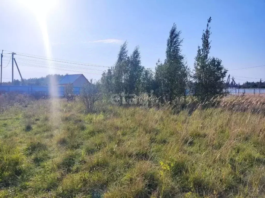 Участок в Псковская область, Псковский район, Логозовская волость, д. ... - Фото 1