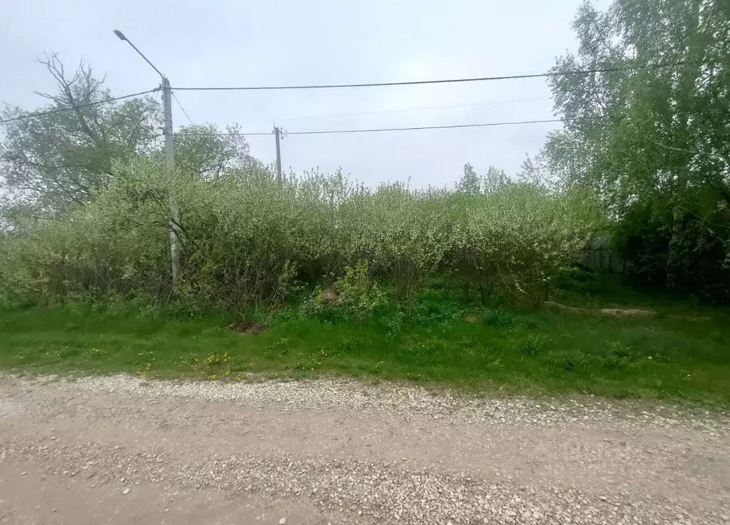Участок в Московская область, Серпухов городской округ, д. Дракино 201 ... - Фото 1
