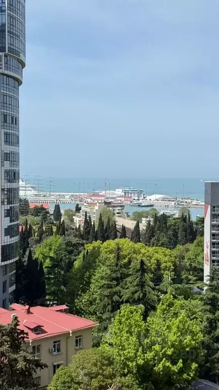 Студия Краснодарский край, Сочи Центральный мкр, ул. Войкова, 34 (34.0 ... - Фото 1