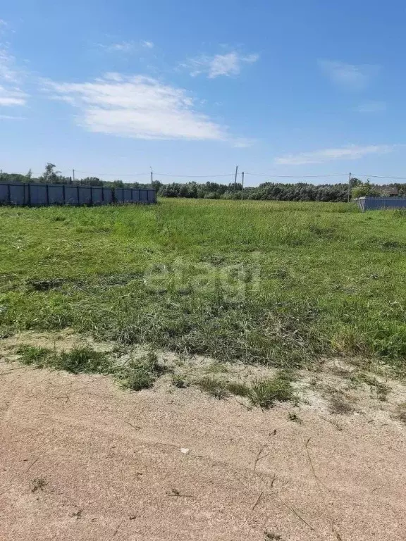 Участок в Новосибирская область, Новосибирский район, Кудряшовский ... - Фото 1