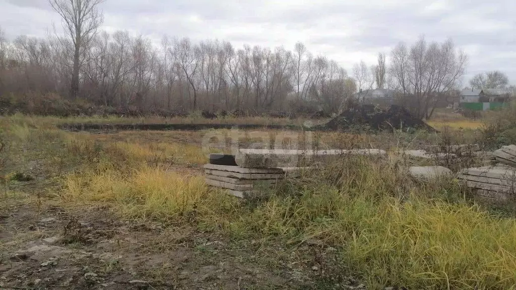 Участок в Воронежская область, с. Новая Усмань ул. Освобождения, 271 ... - Фото 1