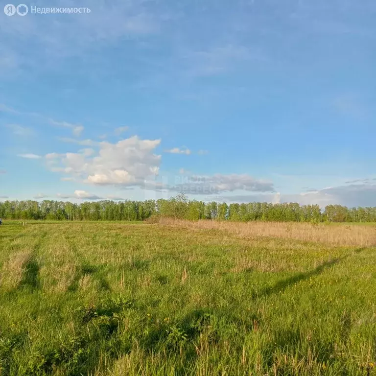 Участок в Щёкинский район, сельское поселение Огарёвское, село ... - Фото 0
