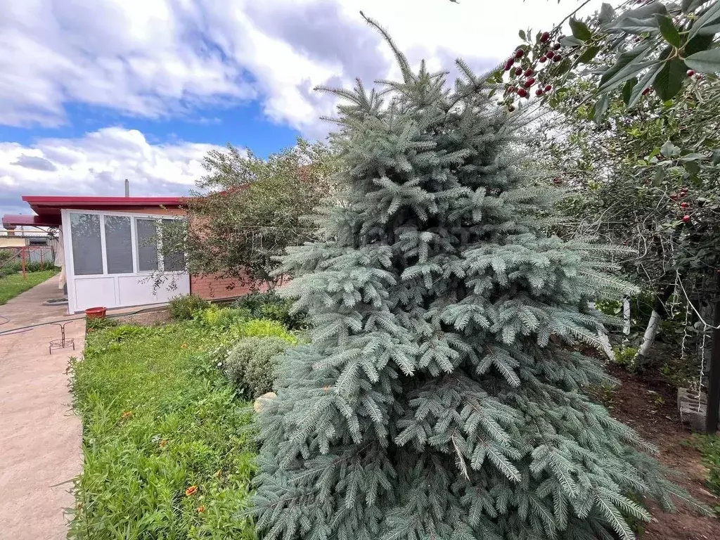 Дом в Оренбургская область, Соль-Илецкий муниципальный округ, с. ... - Фото 1