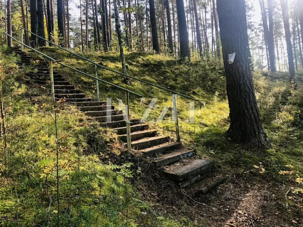 Участок в Ленинградская область, Приозерский район, Петровское с/пос, ... - Фото 1