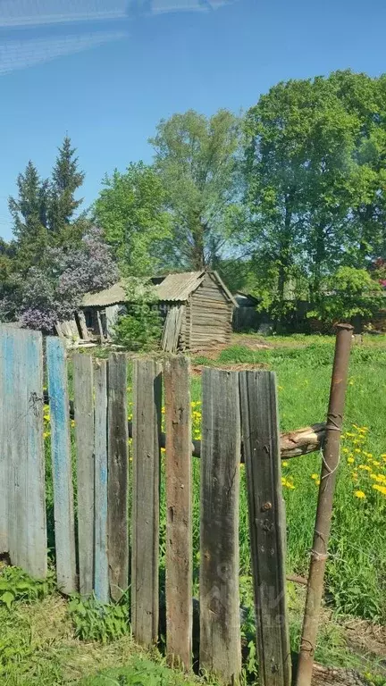 Участок в Чувашия, Чебоксарский муниципальный округ, д. Типнеры ул. ... - Фото 1