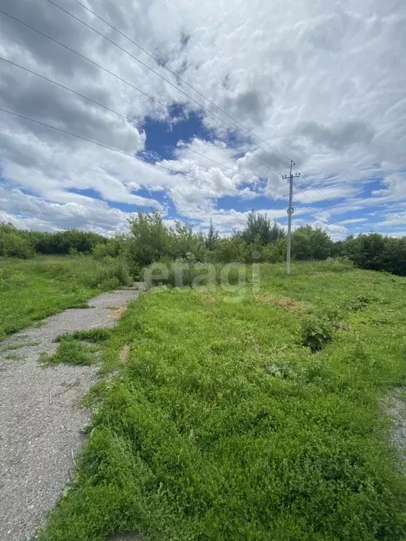 Участок в Кемеровская область, Топки Кузнецкая ул., 1 (36.5 сот.) - Фото 0