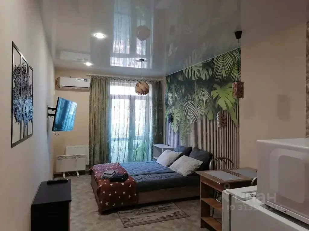 Студия Краснодарский край, Горячий Ключ Рябиновая ул., 2Вк2 (22.0 м) - Фото 0
