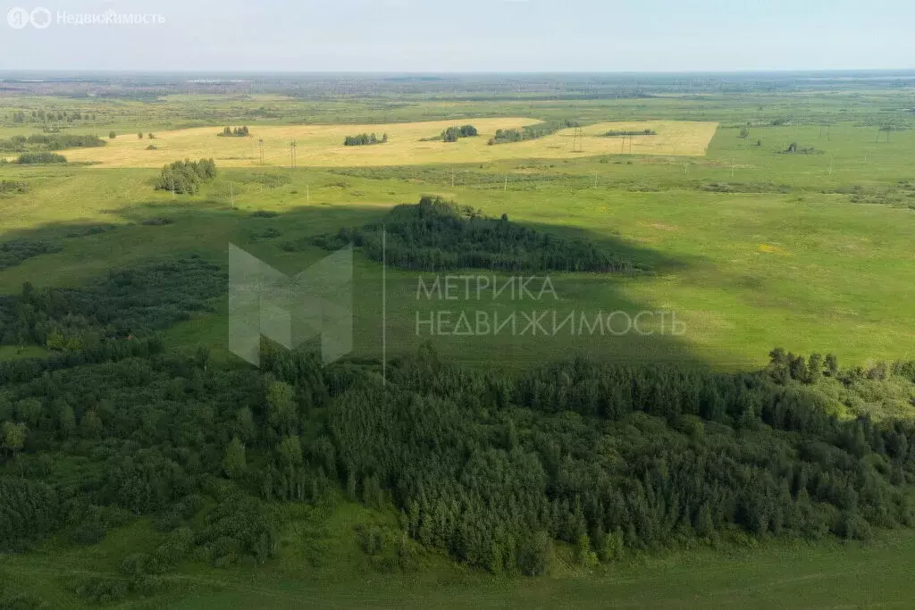 Участок в Тюмень, Ленинский округ (10.69 м) - Фото 2