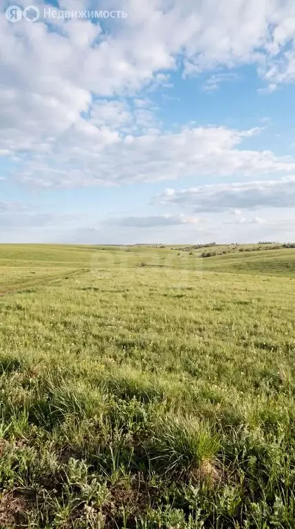 Участок в Усть-Коксинский район, село Чендек (128.43 м) - Фото 1