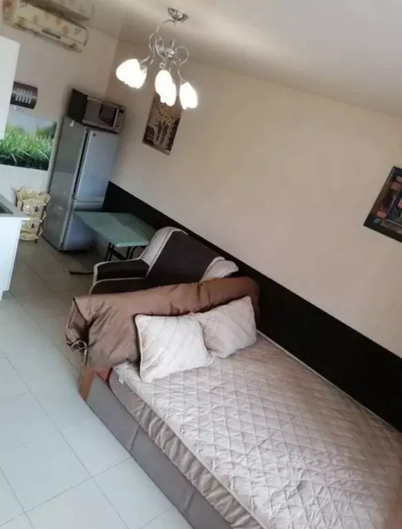Студия Крым, Феодосия ш. Симферопольское, 7 (20.0 м) - Фото 1