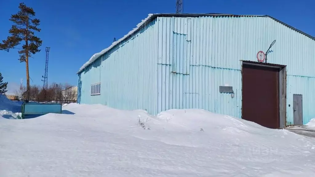 Помещение свободного назначения в Ямало-Ненецкий АО, Муравленко ул. ... - Фото 1