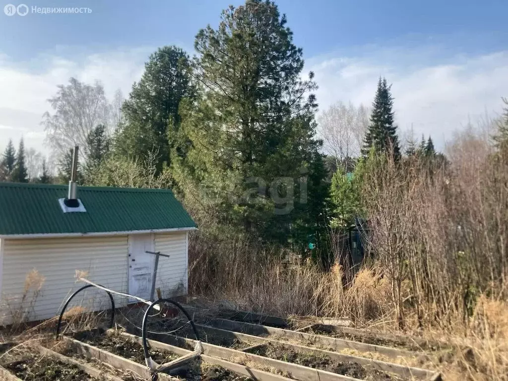 Дом в Кемеровский муниципальный округ, деревня Журавлёво, СНТ ... - Фото 1