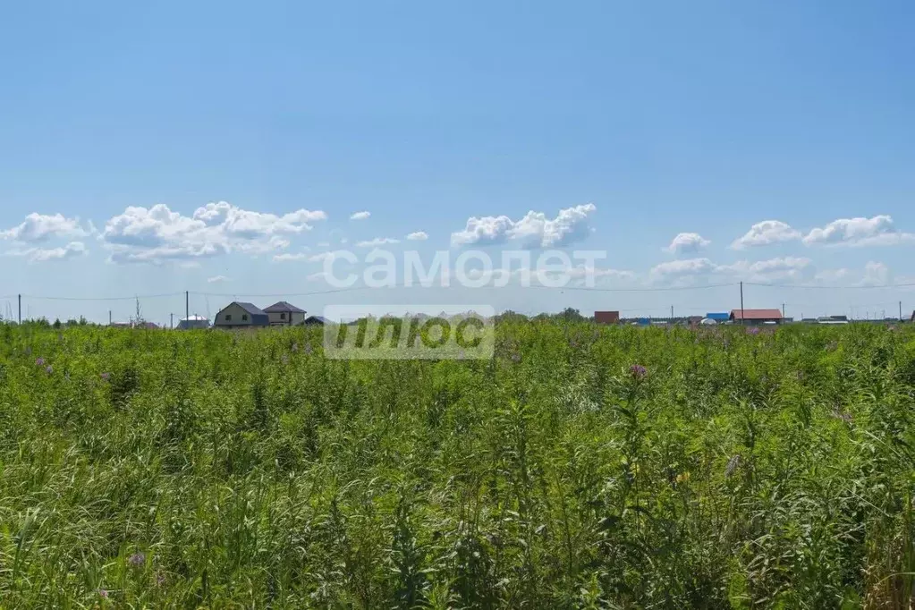 Участок в Тюменская область, Тюменский муниципальный округ, с. Борки  ... - Фото 1