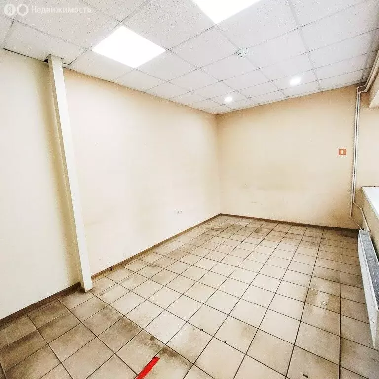 Помещение свободного назначения (17 м) - Фото 2