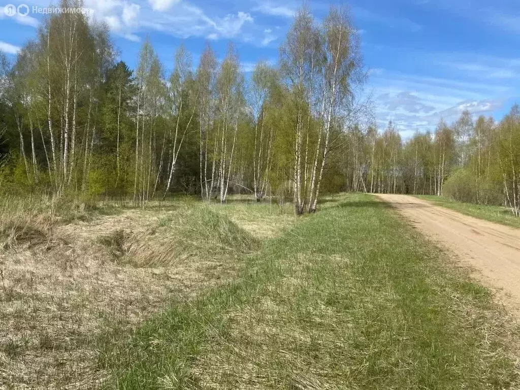 Участок в Ярославская область, Ростовский муниципальный округ, село ... - Фото 1