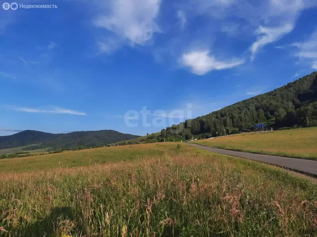 Участок в Белокуриха, Ленский переулок (41.8 м) - Фото 2