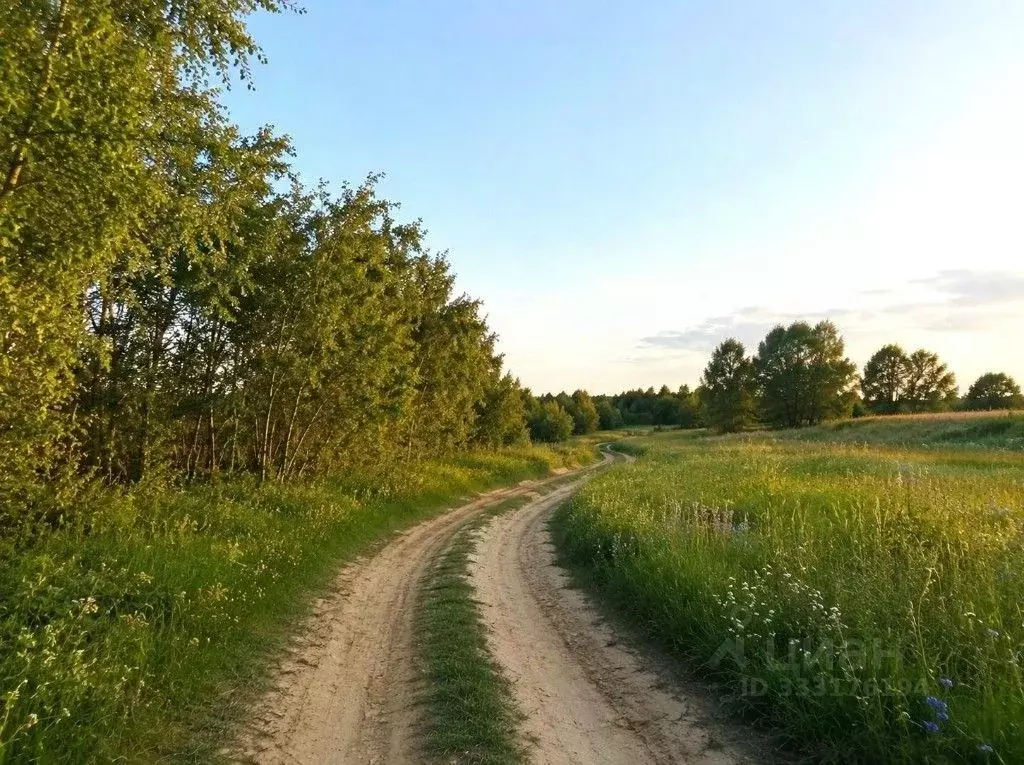 Участок в Челябинская область, Сосновский муниципальный округ, с. ... - Фото 1